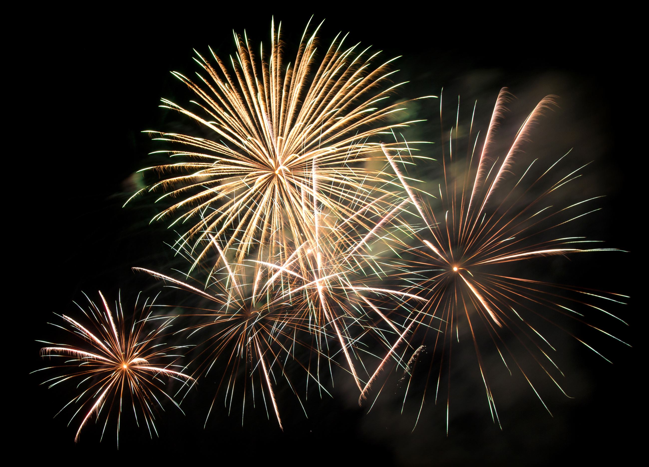 Stock Image_Fireworks Black Background