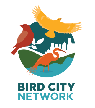 Bird City Network Image